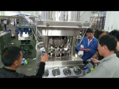 ডাবল লেয়ার ডিশওয়াকিং ট্যাবলেট প্রেস মেশিন