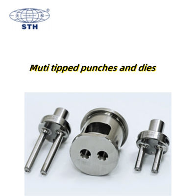 TIANHE Muti Tipped High Capacity Punch and Die Coating Chrome Pharmactical সরবরাহকারী