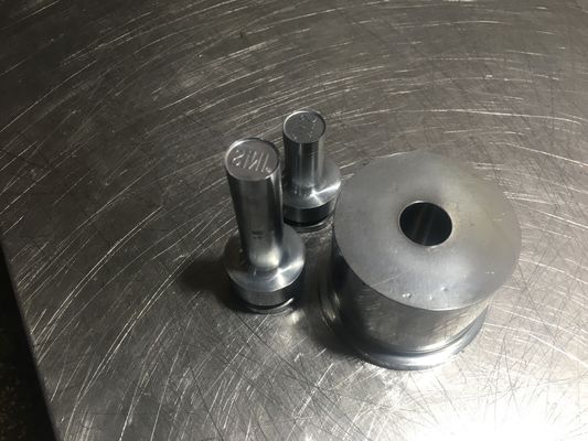 TIANHE Customized Multi-head mould/Punches & dies/Material S7 Hard Chrome সরবরাহকারী